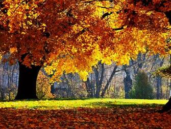 Autumn Falls Desktop Pc And Mac Wallpaper