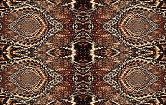 Rattlesnake Skin Wallpaper By Psysrek