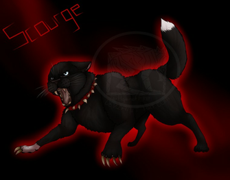 Warrior Cats Wallpaper Scourge By