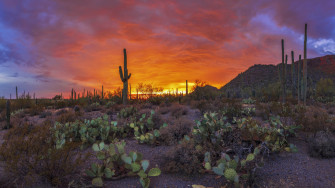 Sunset Beautiful Landscape Pima County In Arizona Usa 4k