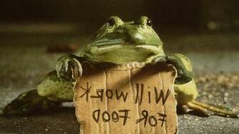 Funny Frog HD Wallpaper High Resolution