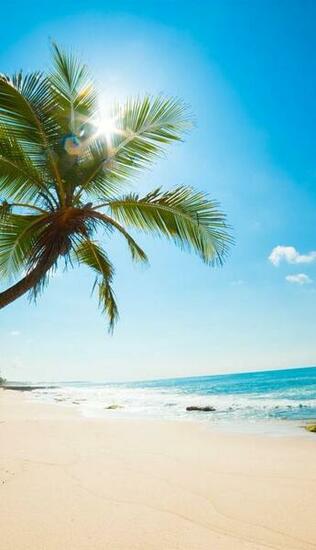 Sunny Beach Hawaii Wallpaper And