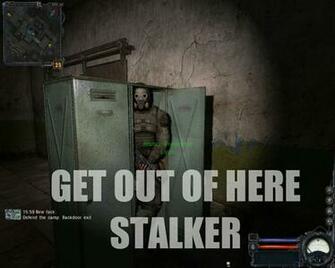 Stalker Humor Funny Shadow Of Chernobyl Wallpaper