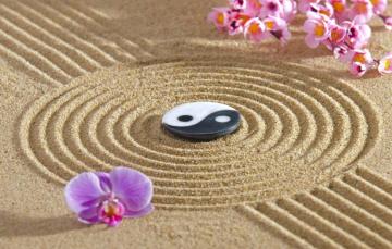 Wallpaper Energy Flowers Stone Japan Garden Zen