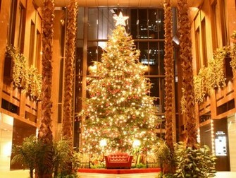 Christmas Tree Pictures Wallpaper