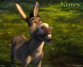 Donkey Wallpaper Pets Cute And Docile
