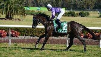 Horse Racing Wallpaper HD Early