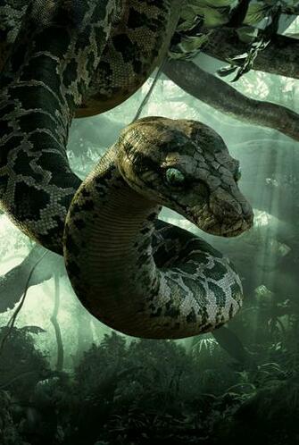 Wallpaper The Jungle Book Snakes Kaa Movies