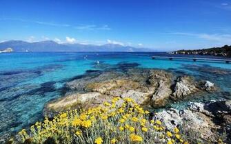 Corsica Wallpaper Beach