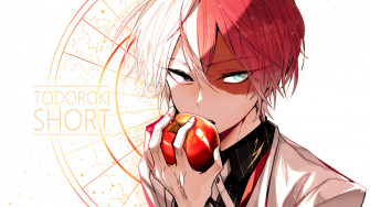 Top Todoroki Cute Wallpaper Full HD 4k To Use