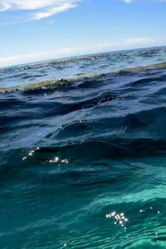 Ocean Blue iPhone Wallpaper