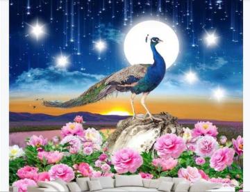 God Bird Peacock Photo Wallpaper Super Beautiful Fantasy Starry