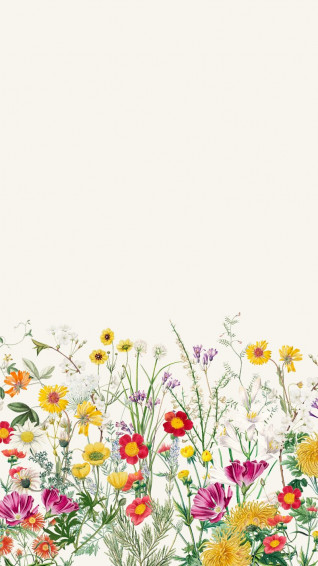 Spring iPhone Wallpaper Aesthetic HD 4k Mobile Phone