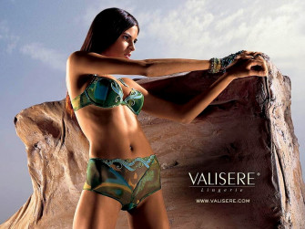 Bikini Background HD Wallpaper