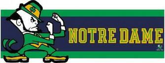 Notre Dame Fighting Irish Tall Die Cut Wallpaper Border