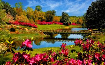 Spring Scene Wallpaper On