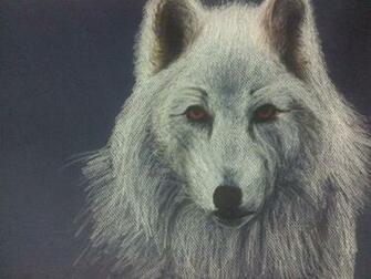 Best Dire Wolf Wallpaper Ark