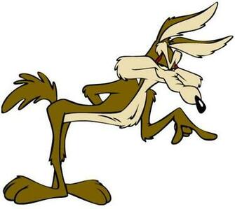 Gallerycartoon Wile E Coyote Photo Gallery