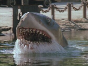 Jaws HD Wallpaper In Movies Imageci