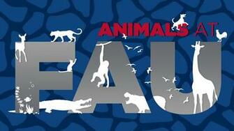 Fau Animals At