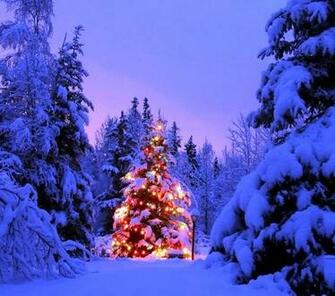 Outdoor Lighted Christmas Trees Resume Format Pdf