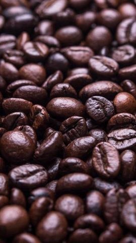 Coffee Bean Holic Brown Food Soft iPhone 5s Wallpaper