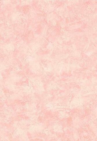Coral Color Wallpaper Pink Background