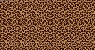 Leopard Print Background