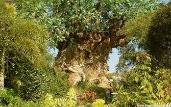 Tree Life Wallpaper Disney