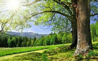 Beautiful Nature Pictures Ever HD Desktop Wallpaper