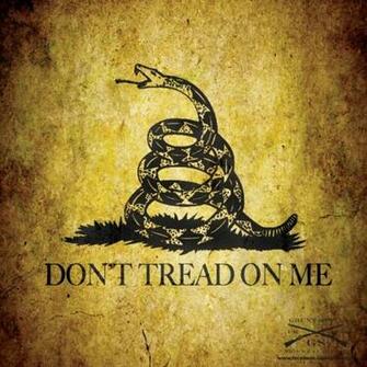 Don T Tread On Me Americana