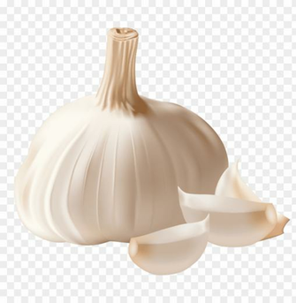 Garlic Png Image With Transparent Background Toppng