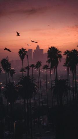 Sunset City iPhone Wallpaper California