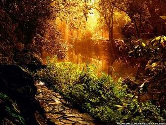 Beautiful River Wallpaper Pictures