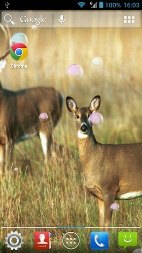Hunting Deer Live Wallpaper Android Games