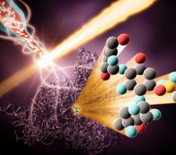 Ribosomes Archives Science In The News