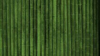 Beautifull Bamboo Green Wall HD Wallpaper Epic Desktop Background
