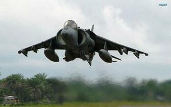 Harrier Wallpaper