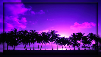 Sunset Palm Trees Wallpaper