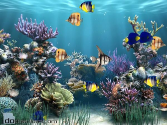 Aquarium Animated Wallpaper Image Aaquarium Desktop