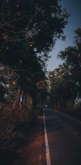 Moody Aesthetic Wallpaper