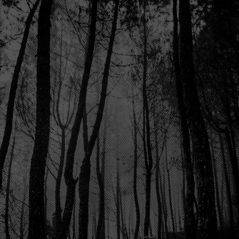 Grunge Grey Aesthetic Wallpaper