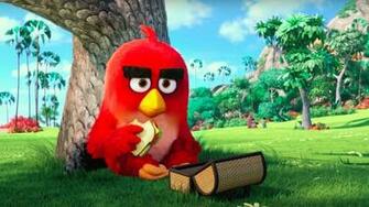 Red Angry Birds Movie Wallpaper HD Background Of Your