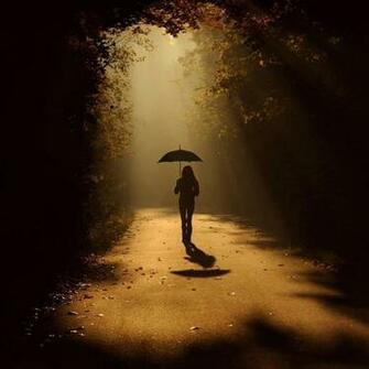 Sunshower Rain Photo Pictures