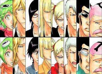 Bleach Vizard Wallpaper Hirako Shinji