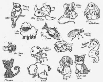 HD Animal Drawing Wallpaper On