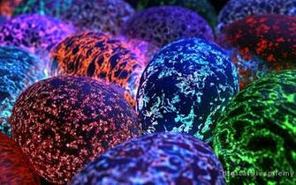 Easter Eggs Photographs And Wallpaper For Your Desktop