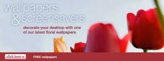 Wallpaper Screensavers