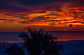 Sunset Palm Trees Ocean Beautiful 4k Wallpaper HD Nature