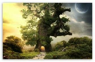 Tree House HD Wallpaper For Standard Fullscreen Uxga Xga Svga